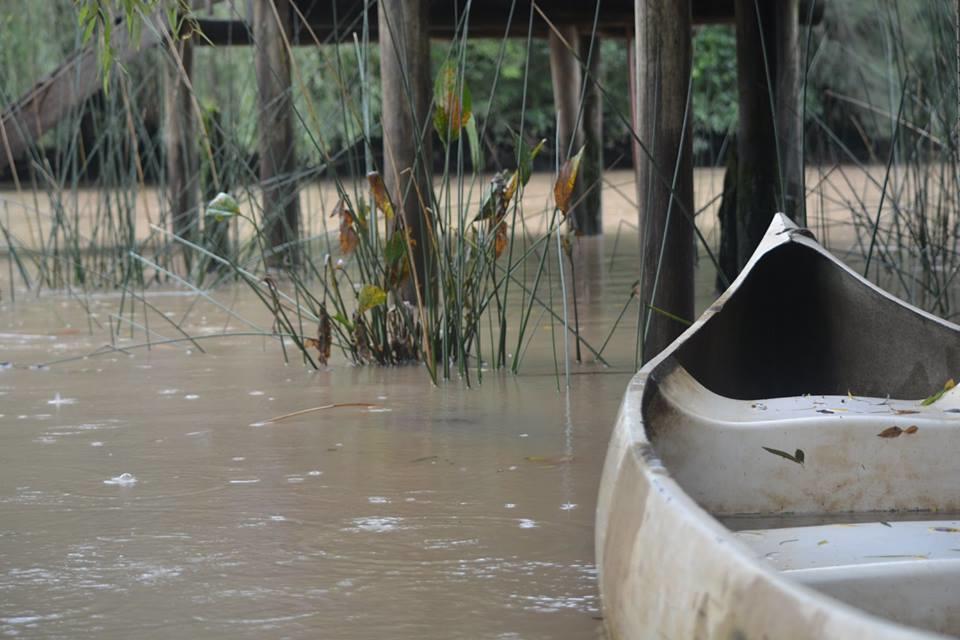 Cabanas Sidharta Tigre Ngoại thất bức ảnh